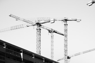 a black and white photo of a crane and a building
