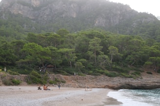 A secluded beach with a small group of people gathered around a campfire. The shoreline is pebbly, and the sea is calm with gentle waves lapping the shore. Dense green forest surrounds the area, with lush trees covering the hillside in the background.