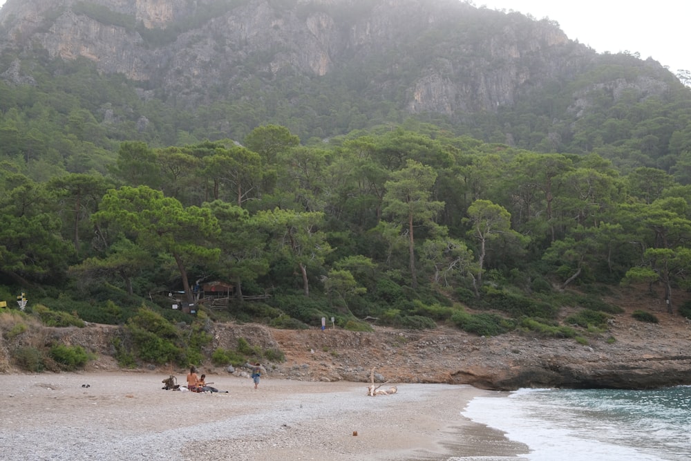 a group of people sitting on top of a sandy beach