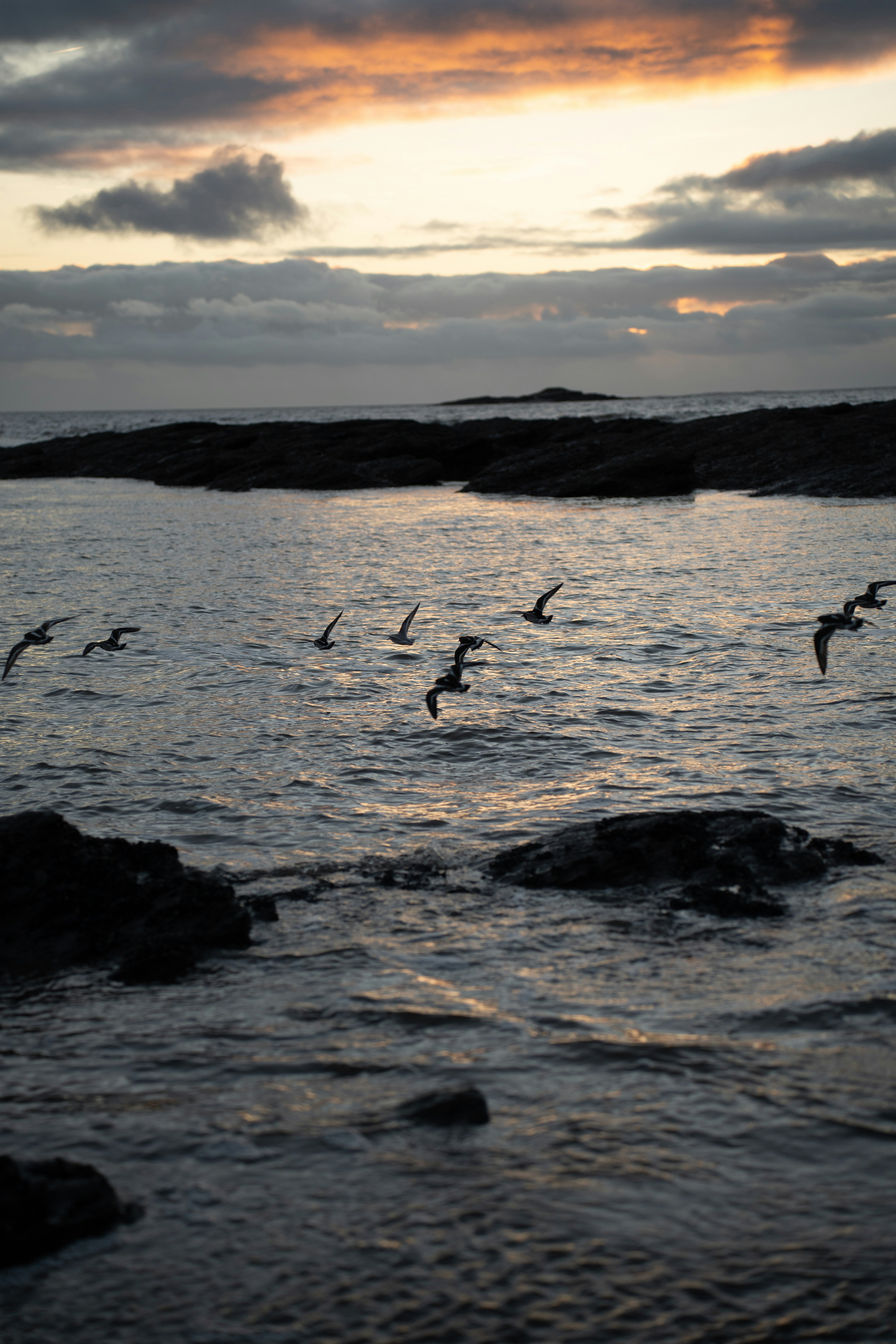 Photo by clementproust