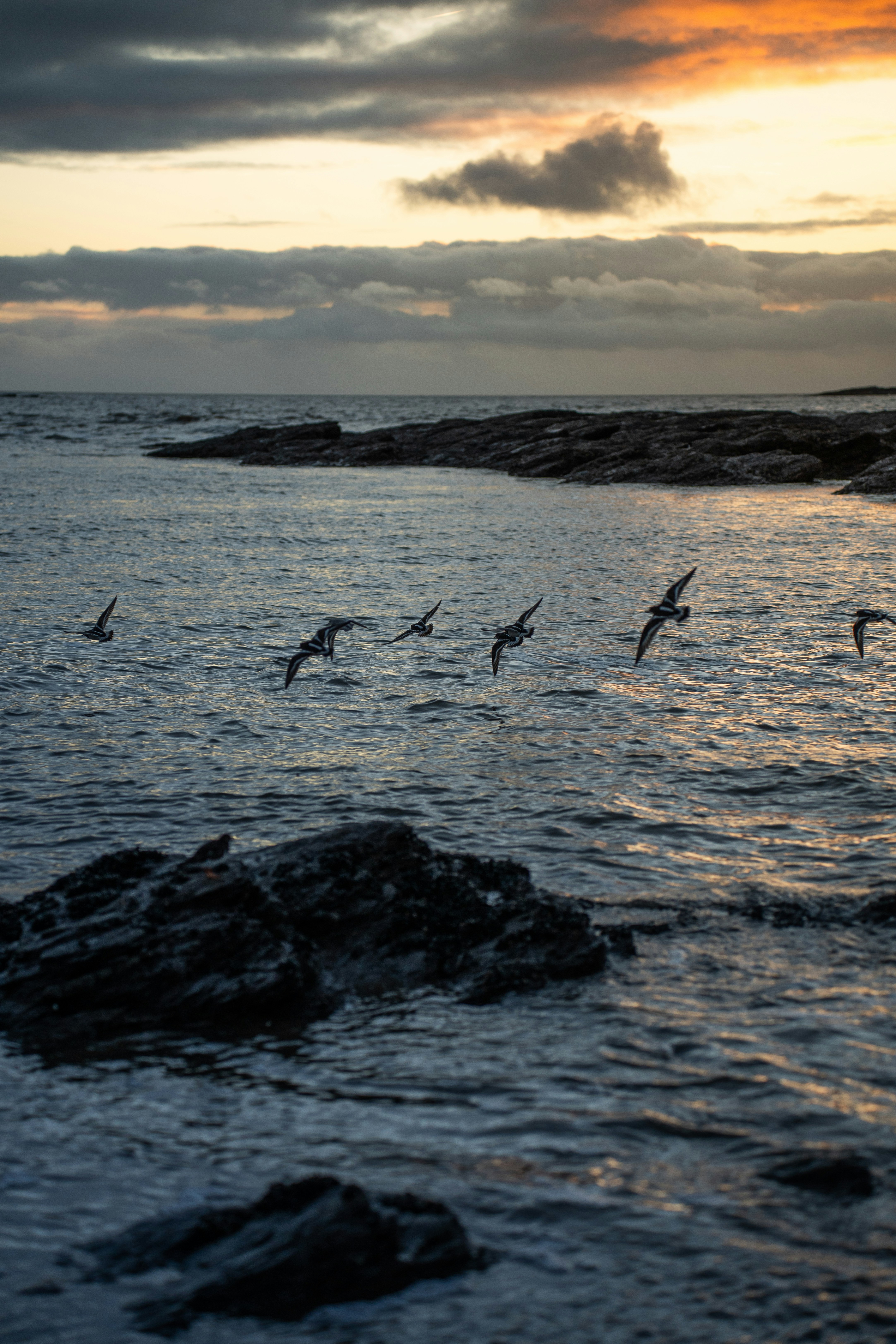 Photo by clementproust