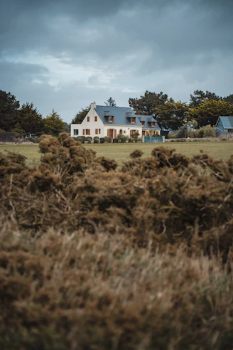 Cozy blue and white house surrounded by lush green trees under a clear sky.