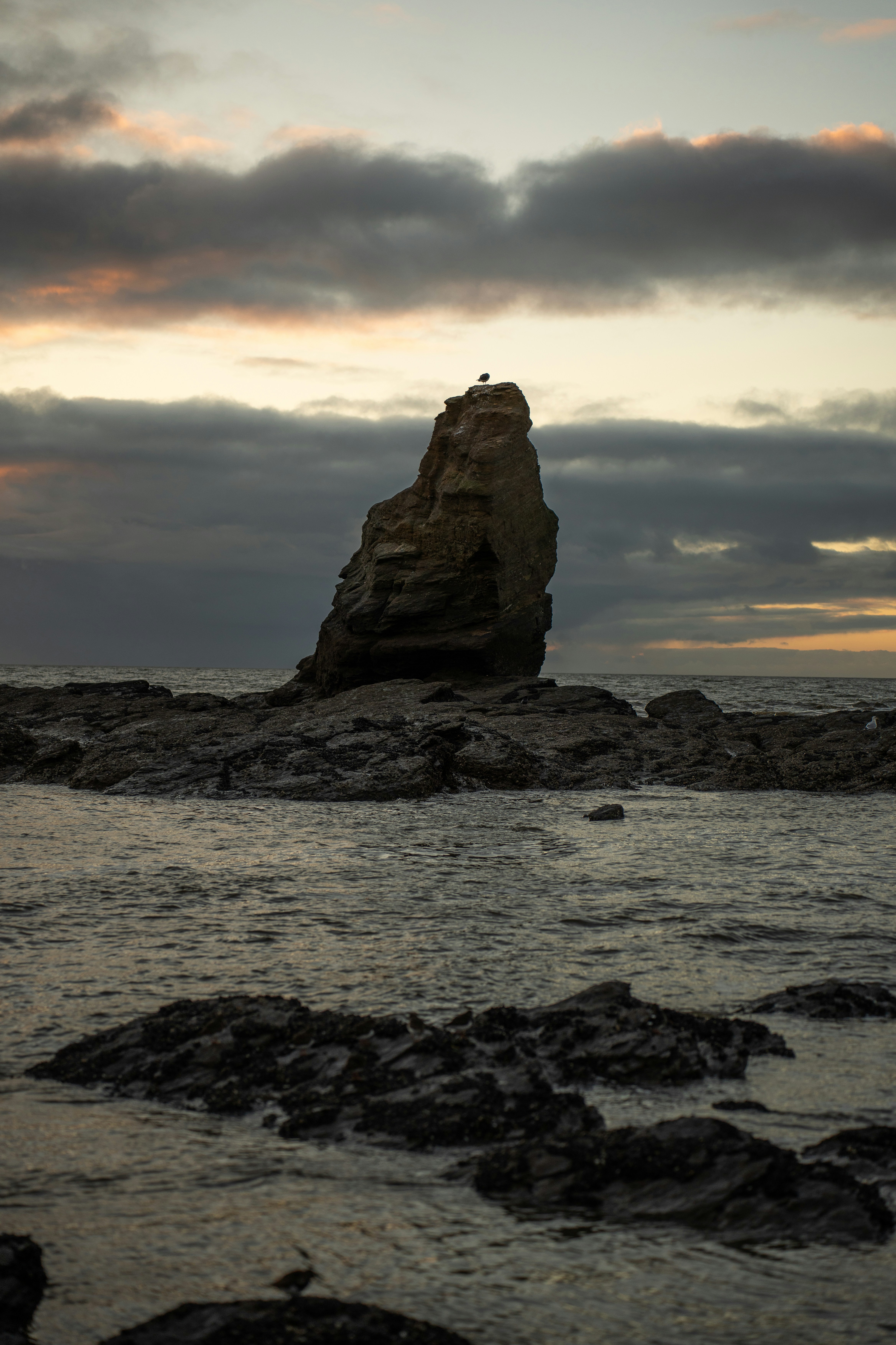 Photo by clementproust