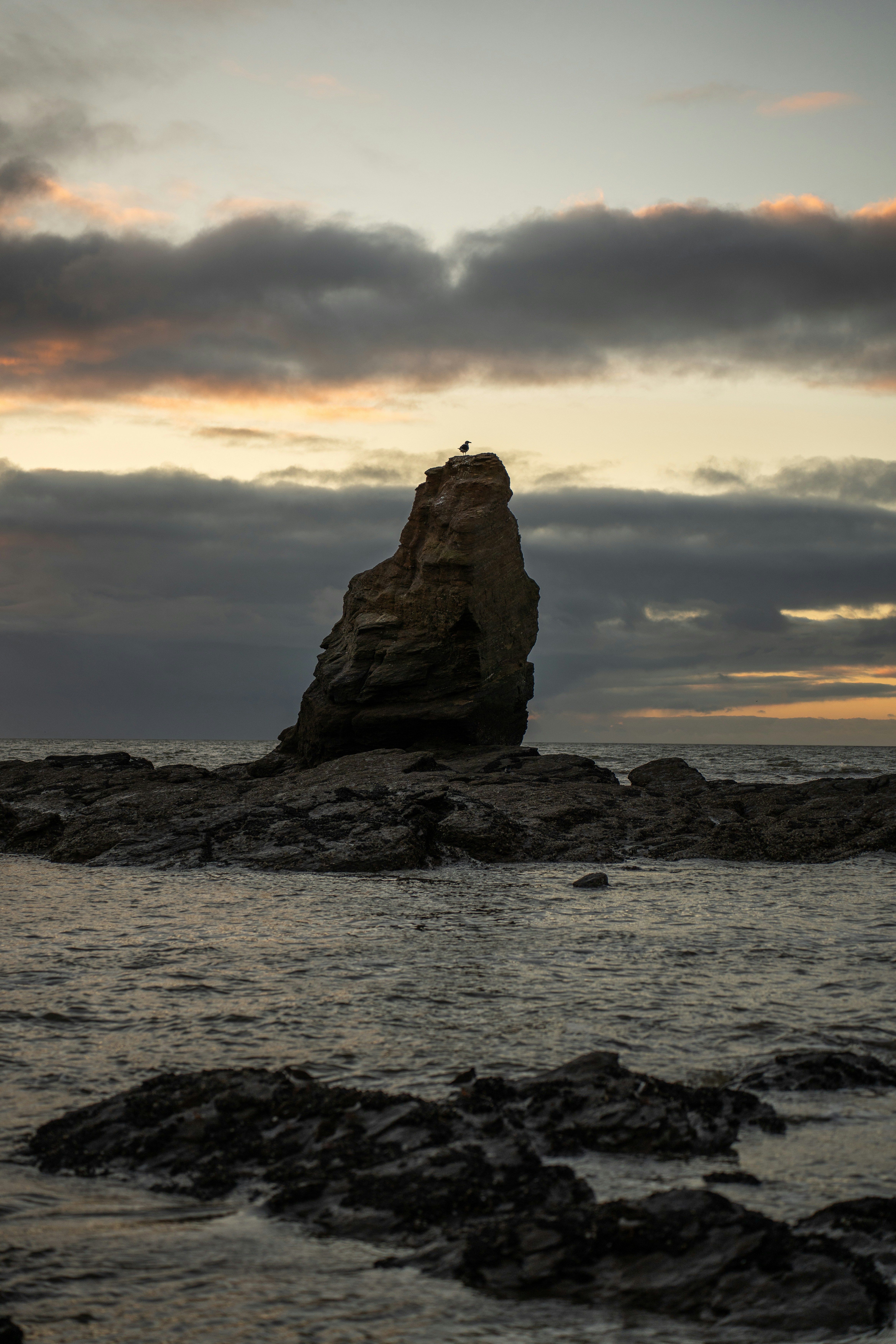 Photo by clementproust