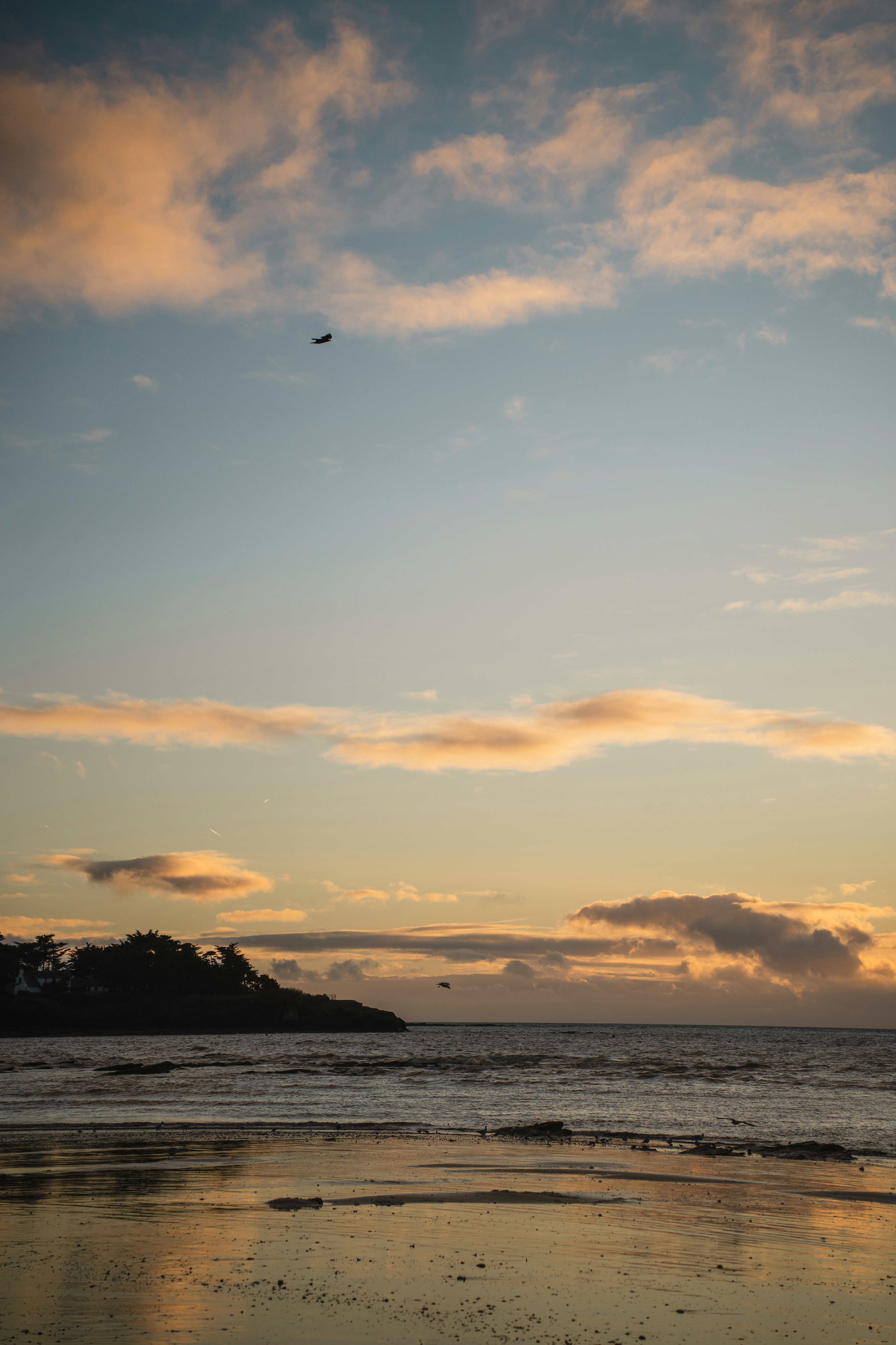 Photo by clementproust