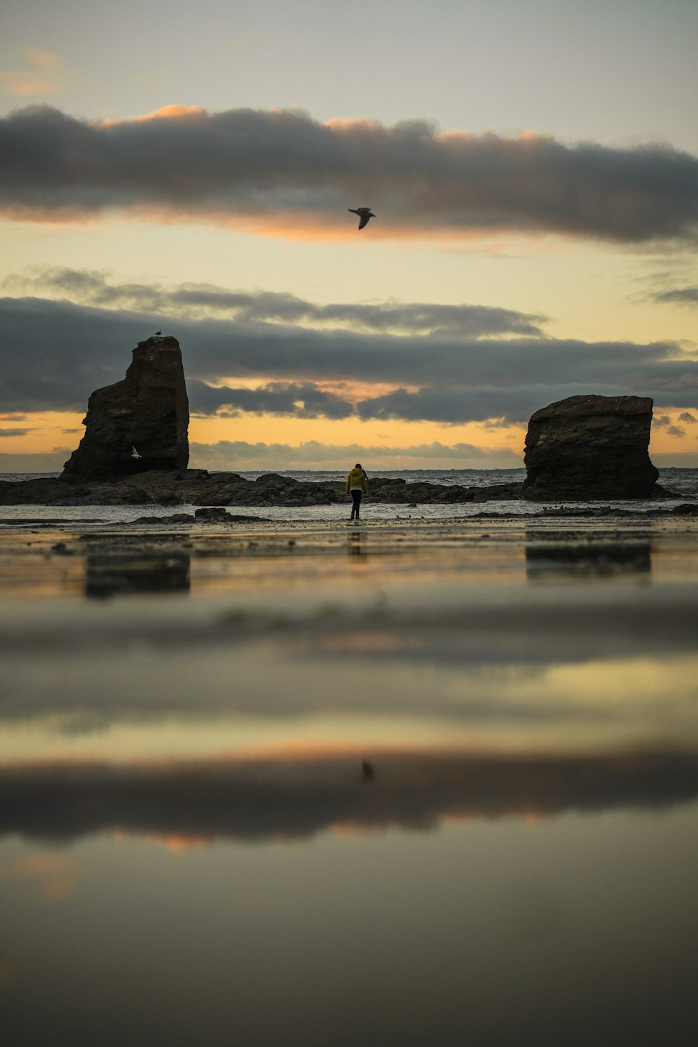 a person standing on a beach next to a large rock formation