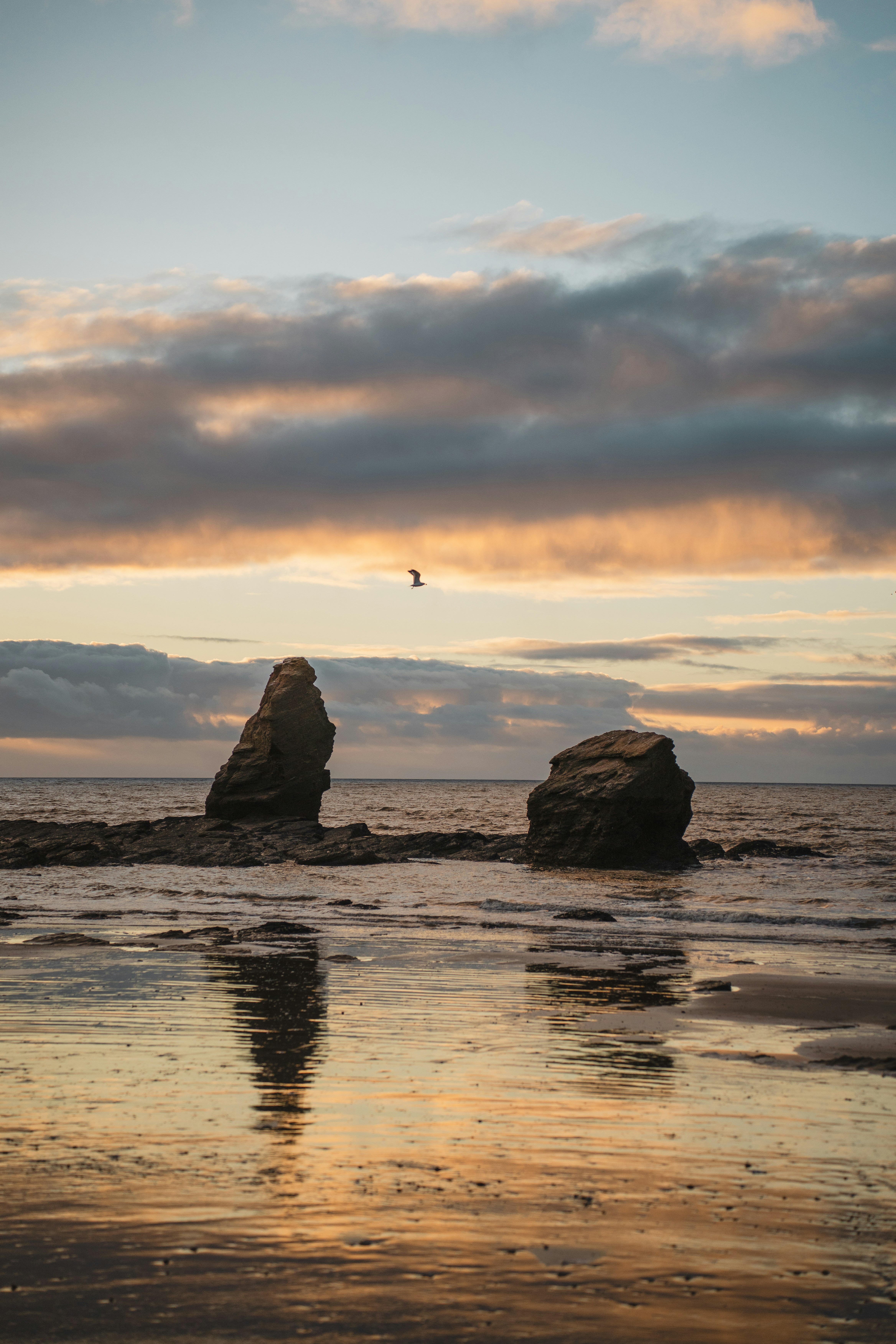 Photo by clementproust