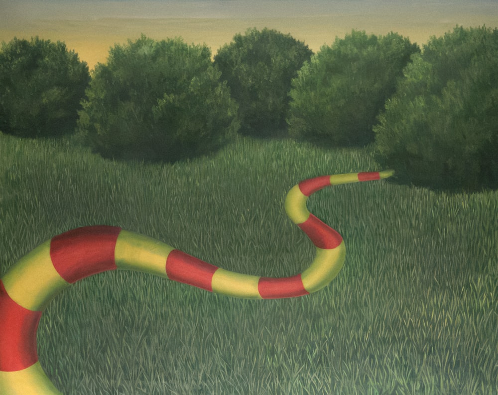 a painting of a red and yellow snake in a grassy field