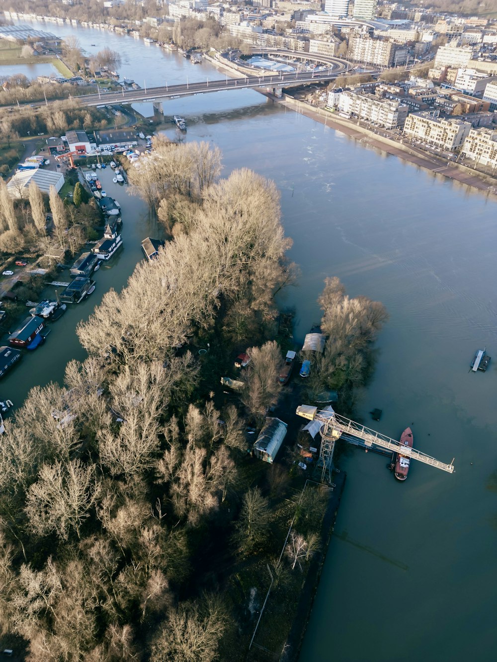 a body of water surrounded by trees and buildings