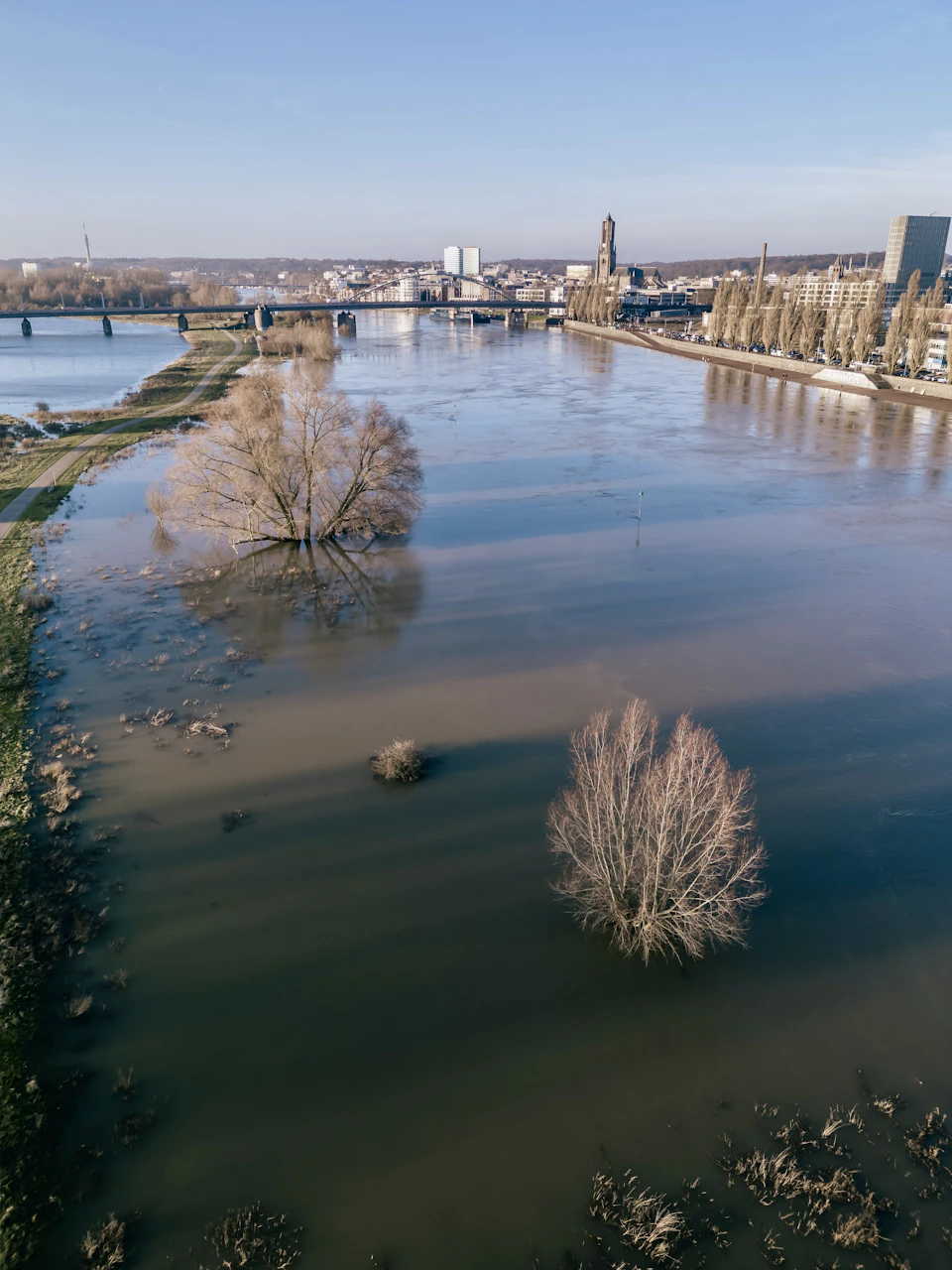 The image presents an aerial view of a river with two trees standing on its banks, one of which is partially submerged in water. The river flows through a cityscape, with buildings and bridges visible along its course. The sky above is clear blue, providing a beautiful backdrop to the scene below.