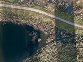 Photo 1703586292642 7808fe1674a2?q=85&w=273&h=462&fit=crop