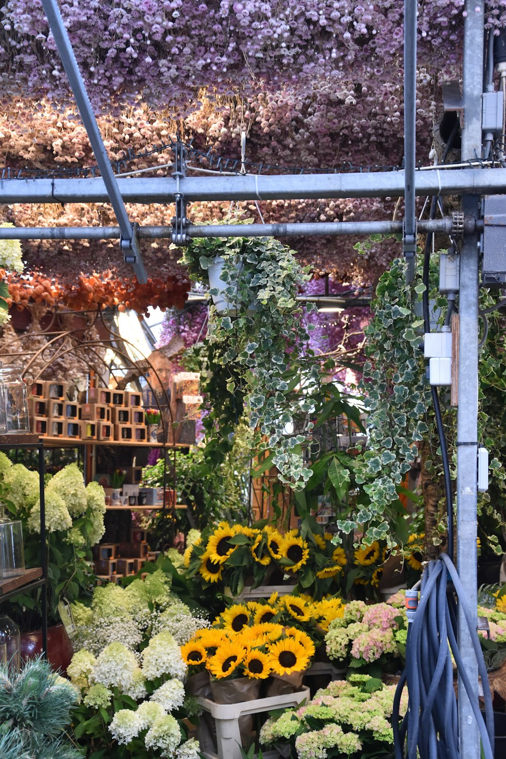 a bunch of sunflowers and other flowers in a store