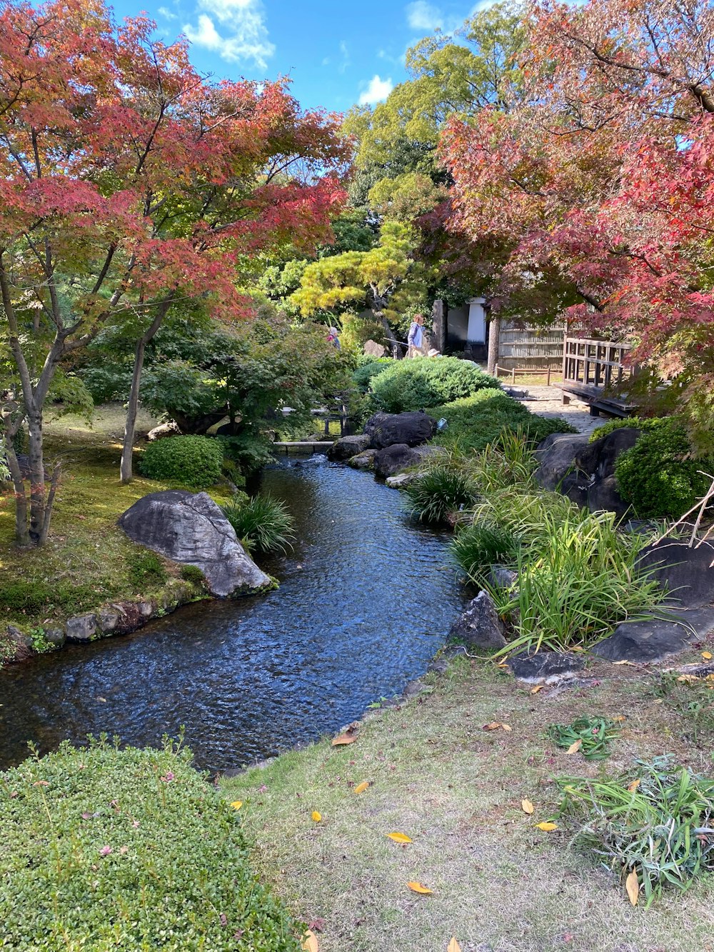 a small stream running through a lush green park