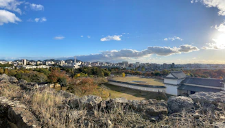 A panoramic view of Heragon City showing the harmonious blend of modern buildings and lush Japanese gardens.
