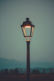 A quaint village street at dusk with vintage lampposts and a mysterious silhouette in the fog.