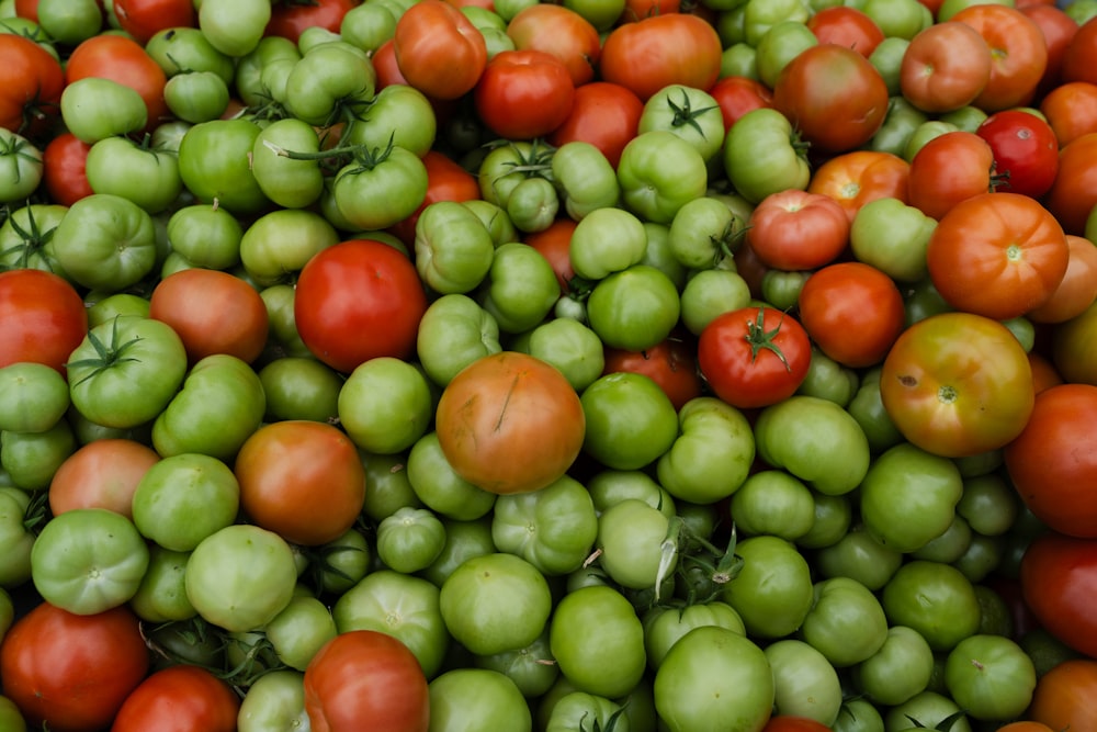 a large pile of tomatoes and green and red tomatoes