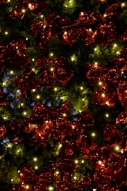 A collection of glittery red bows is displayed on a background of dark green foliage. The foliage is illuminated by numerous small, warm white lights, creating a festive and decorative appearance.
