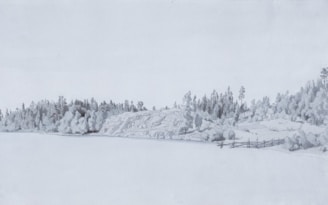 A serene acrylic painting of a tranquil lake surrounded by trees.