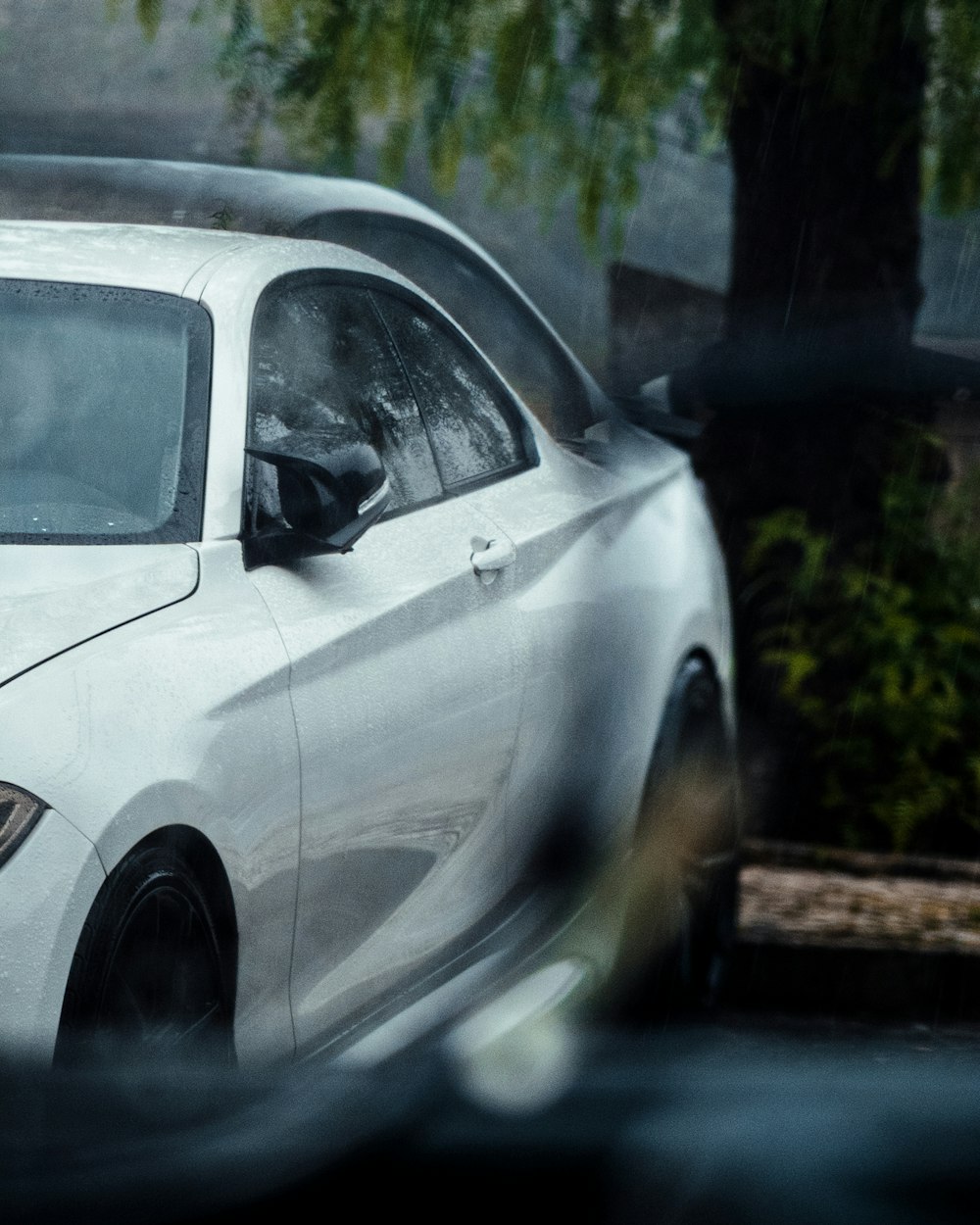 a white car parked in front of a tree