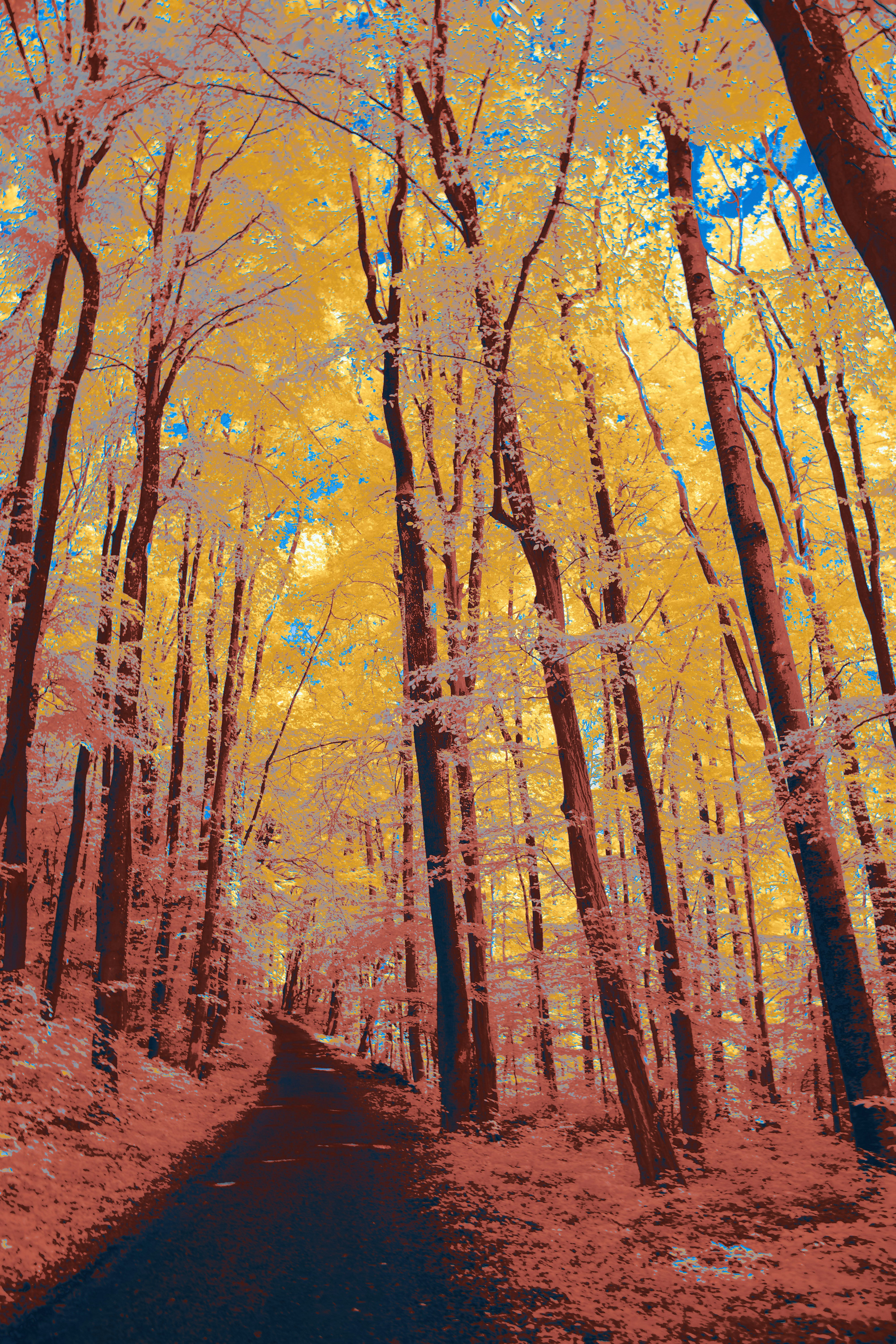 Photo by wolfgang_hasselmann