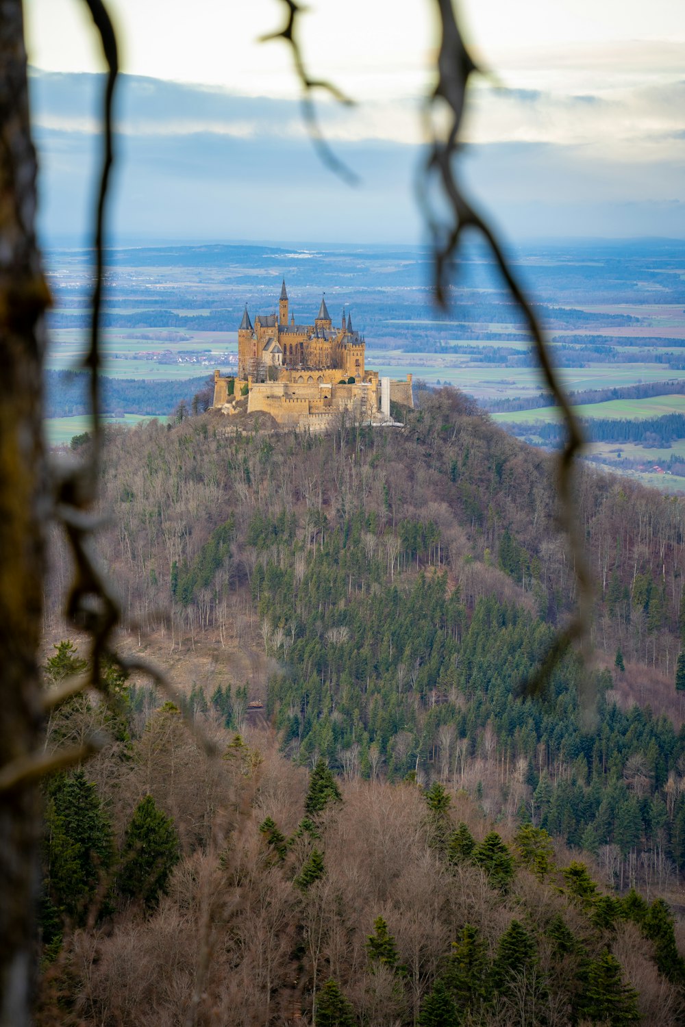 a castle on top of a hill surrounded by trees