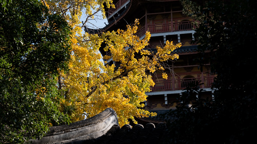 a tree with yellow leaves in front of a building