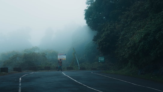 A misty road curves through a lush, green forest. Thick fog envelops the scene, creating a mysterious and tranquil atmosphere. A solitary person stands near a sign on the left, with dense shrubbery and towering trees as the backdrop. The road's surface is dark and slightly wet, reflecting the overcast weather.