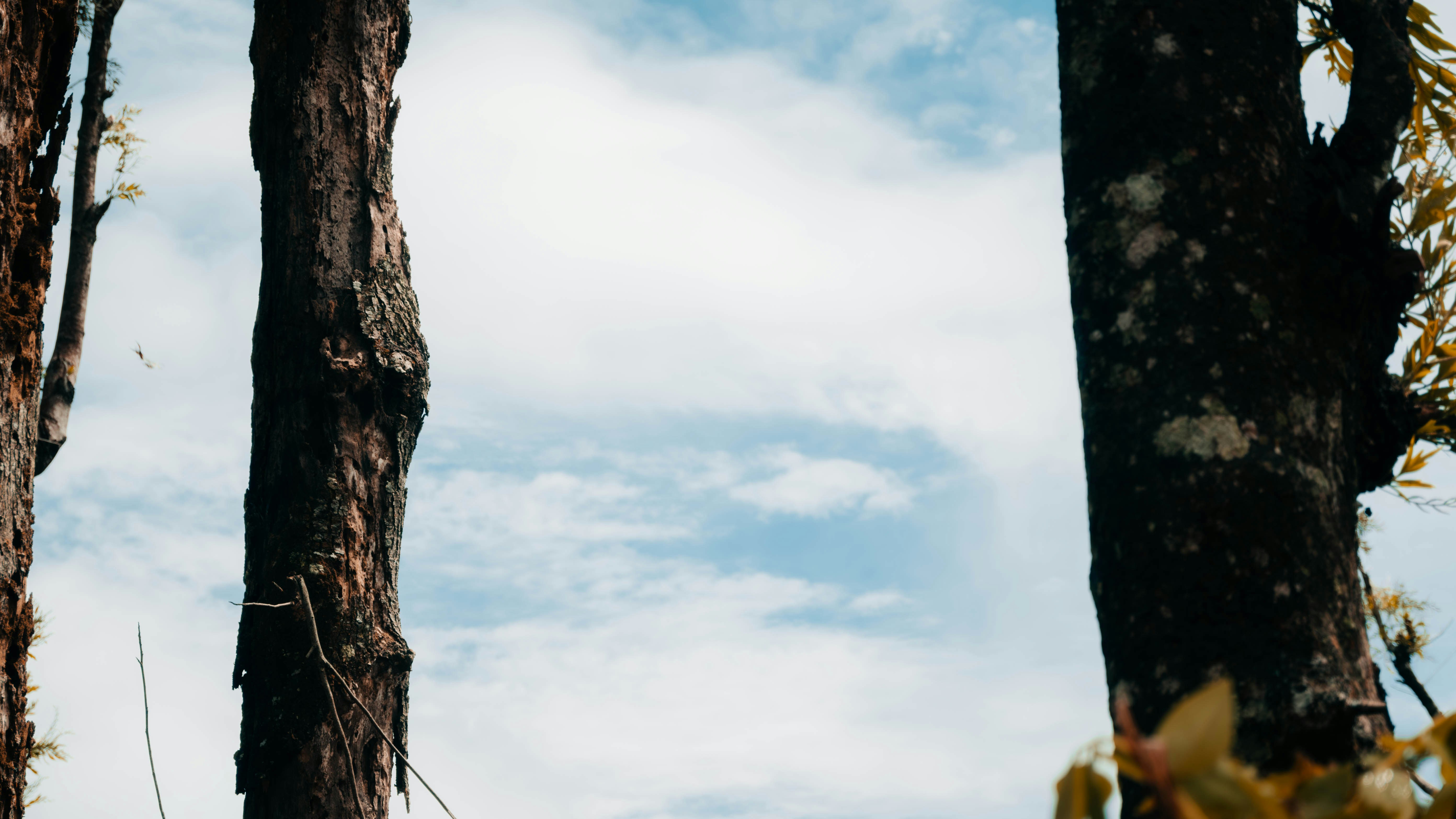 Photo by haythamkenway