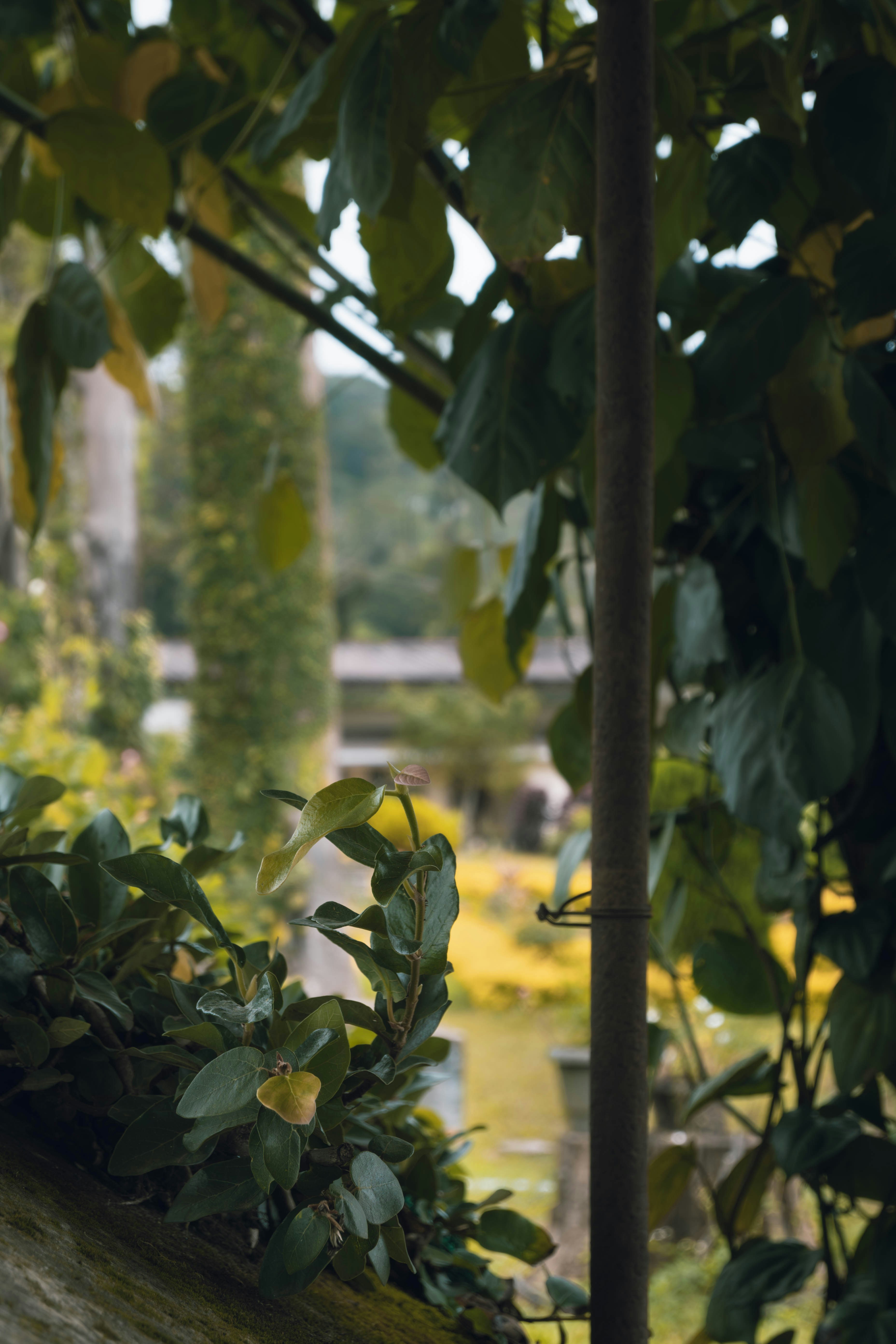 Photo by haythamkenway