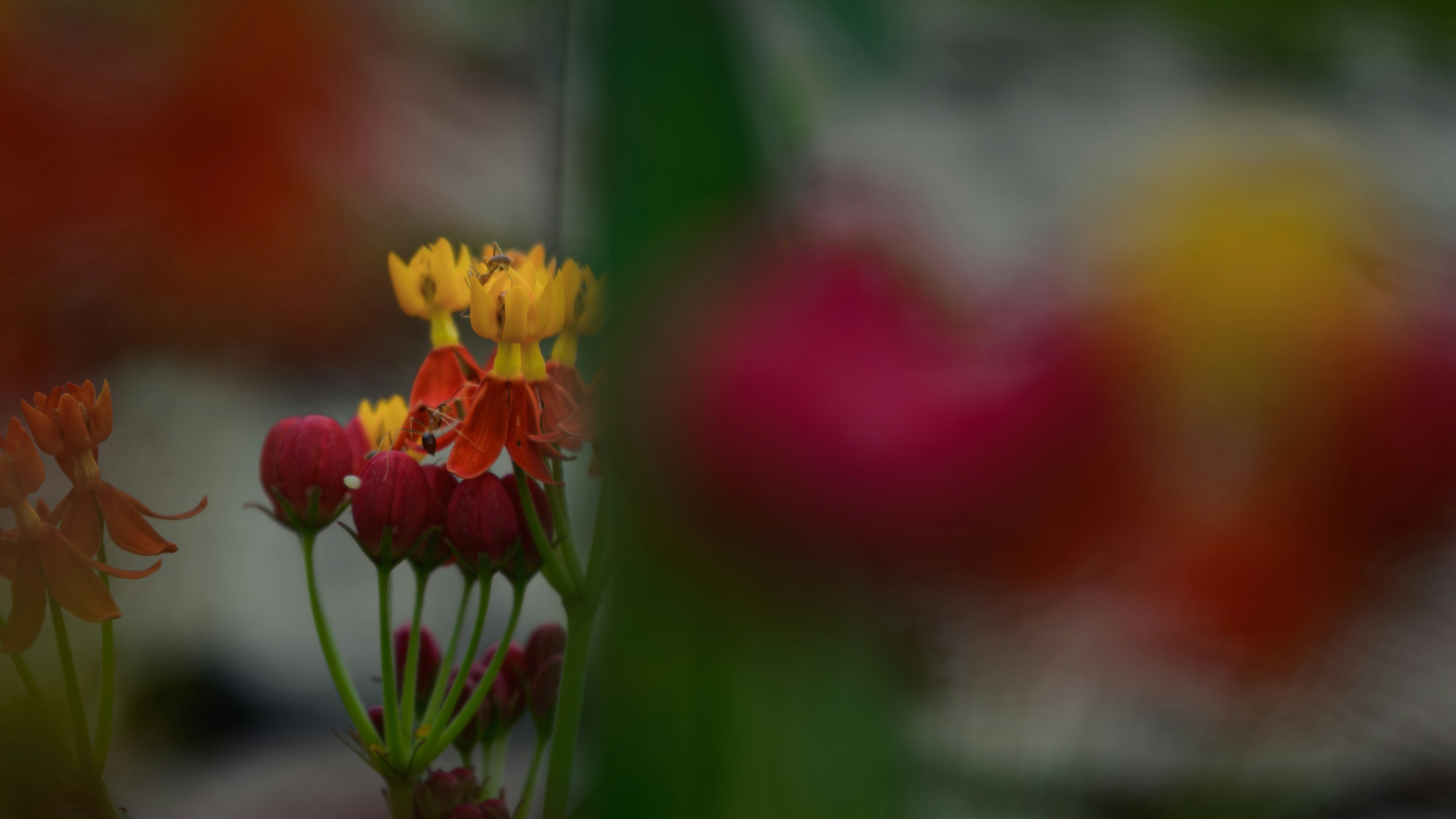 Photo by haythamkenway