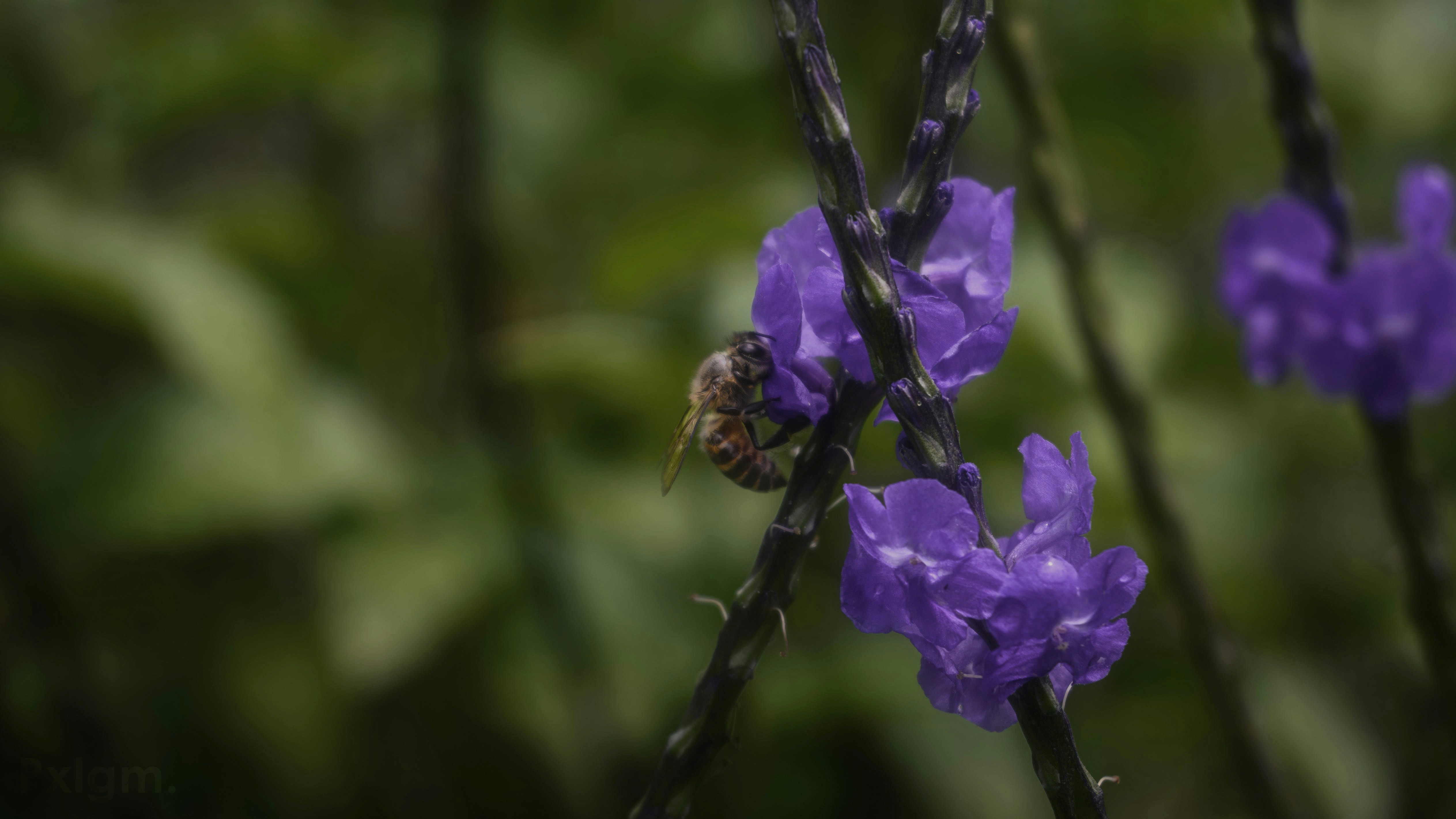 Photo by haythamkenway