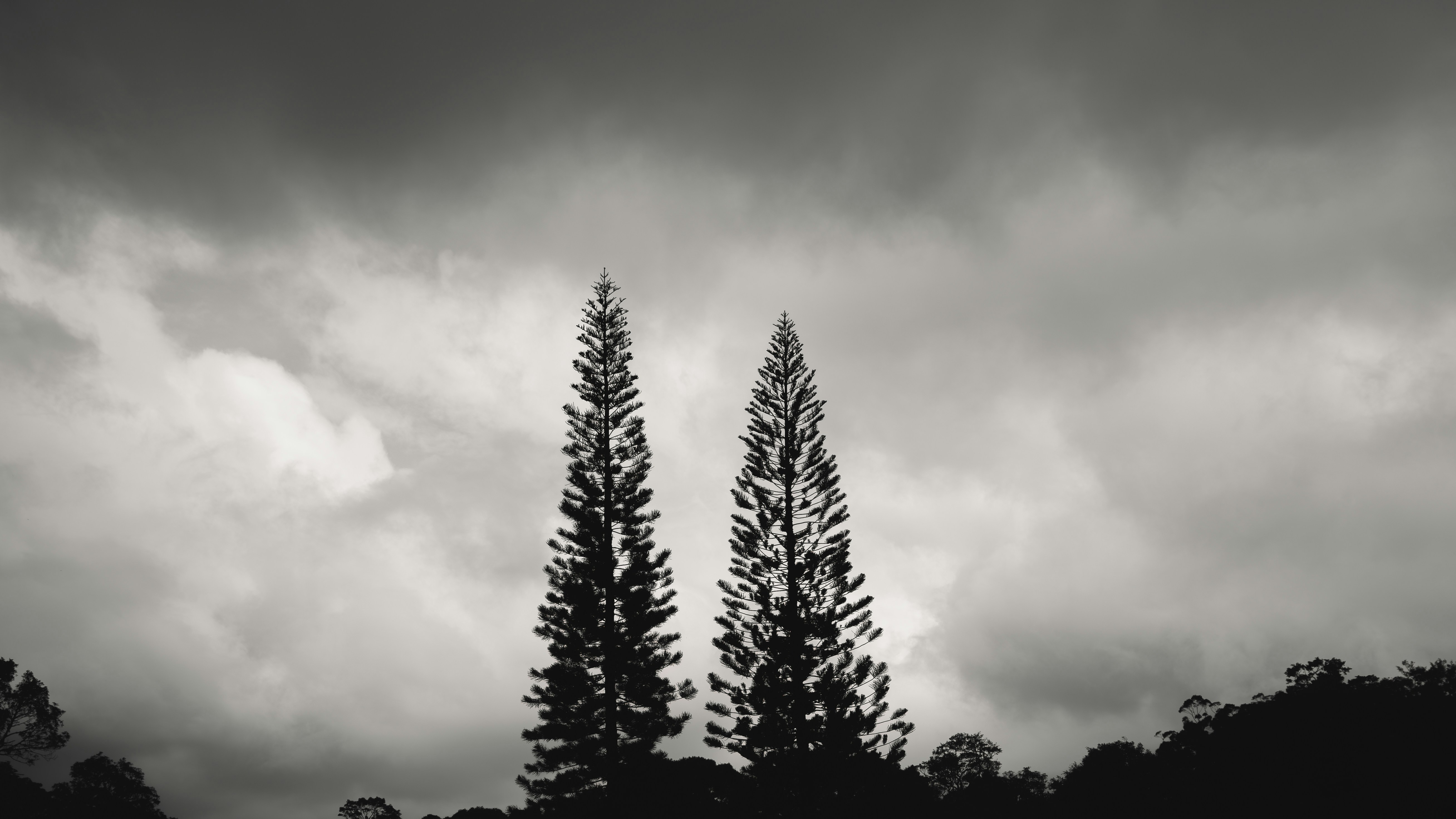 Photo by haythamkenway