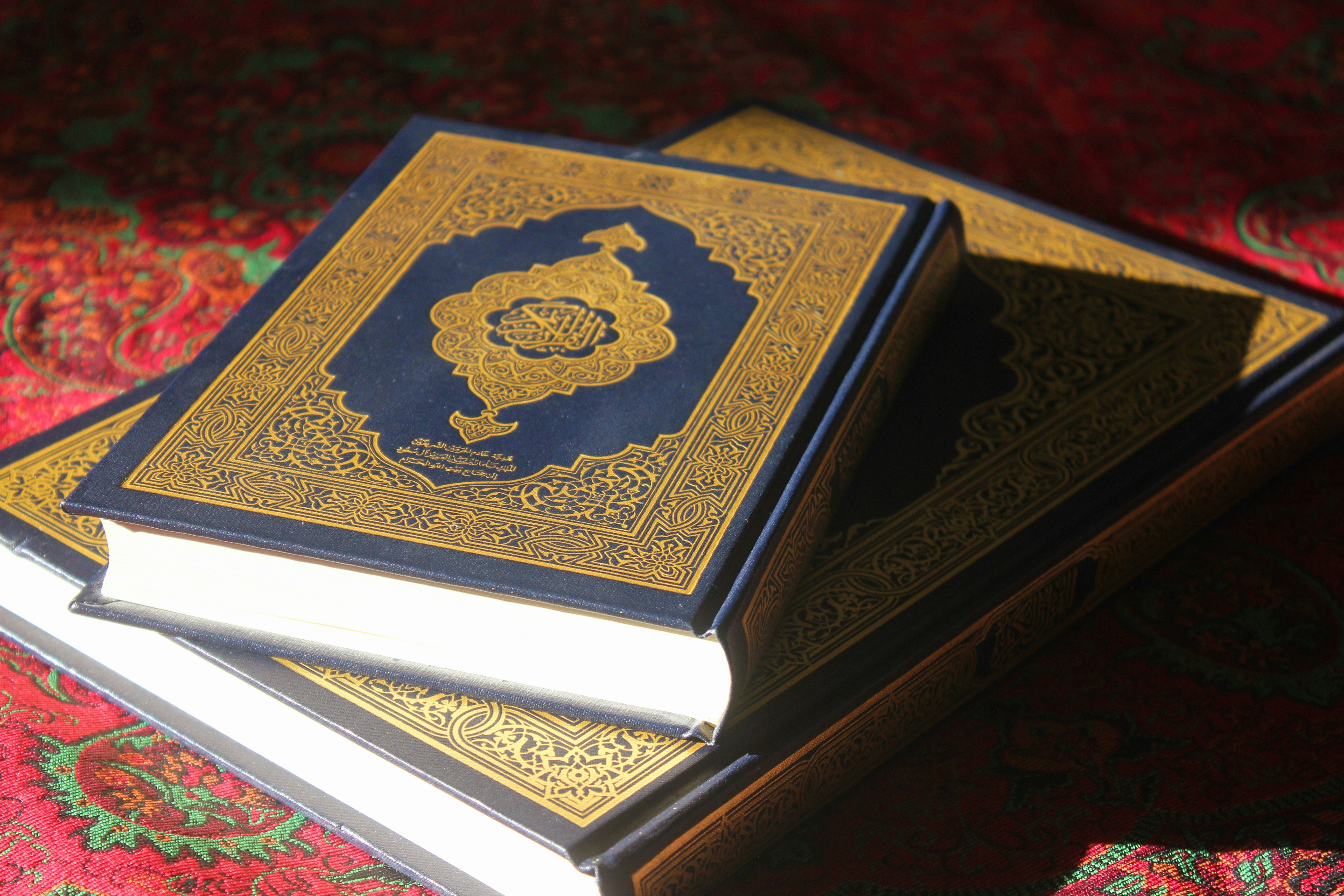 Photo by manavimoghadam