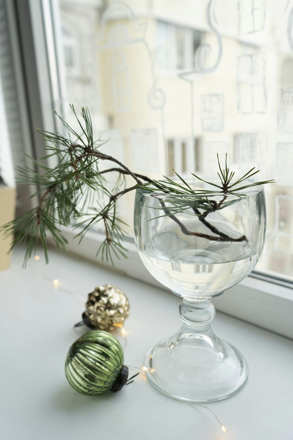 a glass of water and a pine branch on a window sill