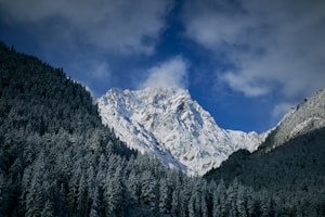 A stunning snowy mountain peak stands majestically under a clear blue sky, surrounded by dense, snow-covered pine forests. Wispy clouds hover near the summit, adding to the serene and majestic atmosphere.