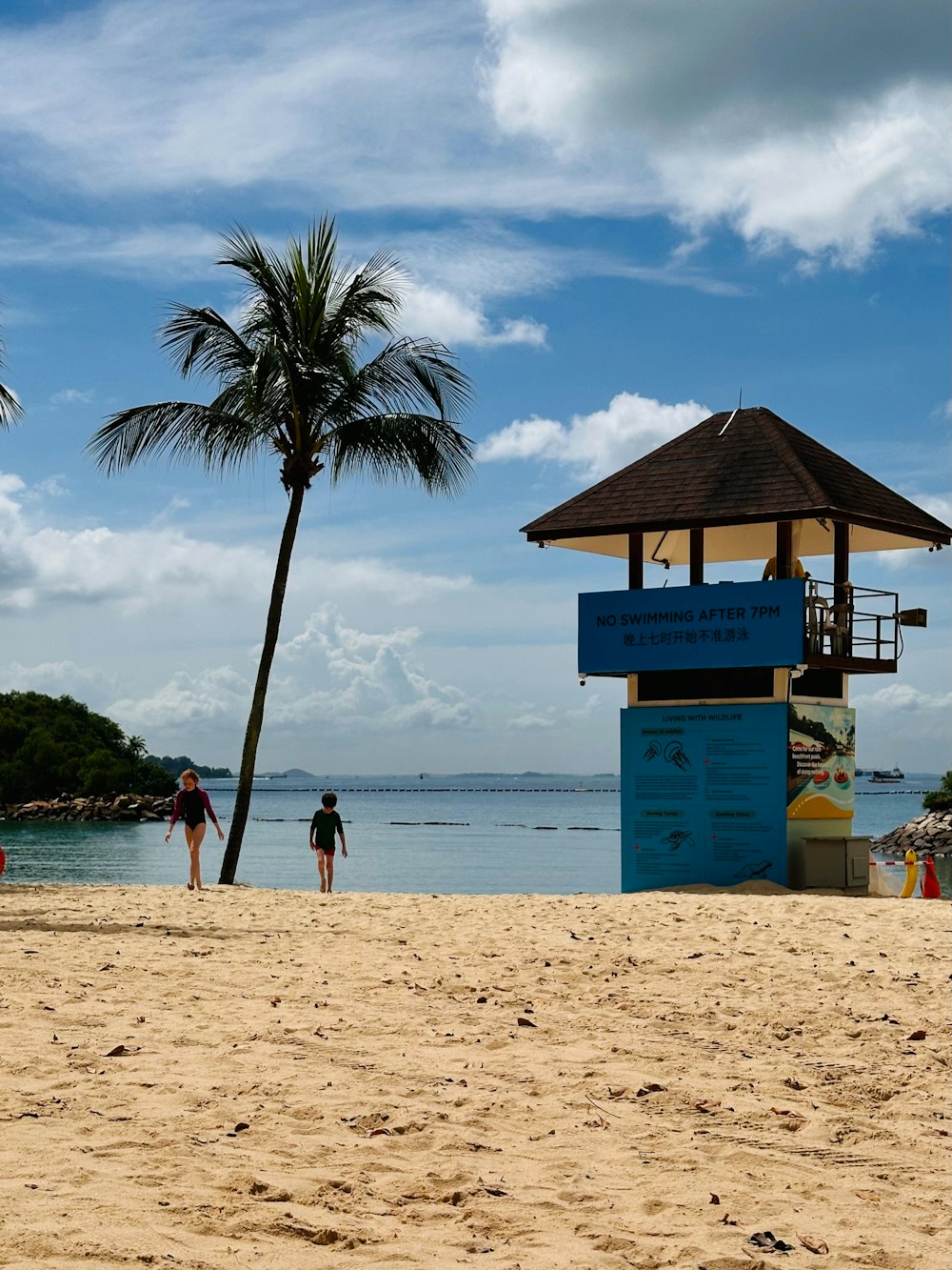 a couple of people walking on a beach near the ocean