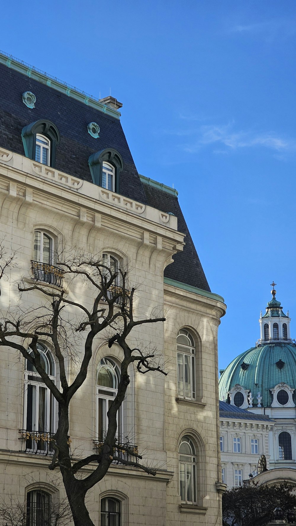 a large building with a tree in front of it