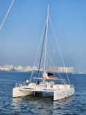 A catamaran with colorful designs on the hull sails on calm blue waters. Several people are on board, wearing casual clothing suitable for sailing. In the background, there is a cityscape with tall buildings under a clear blue sky.