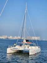 A catamaran with colorful designs on the hull sails on calm blue waters. Several people are on board, wearing casual clothing suitable for sailing. In the background, there is a cityscape with tall buildings under a clear blue sky.