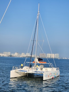 A catamaran with colorful designs on the hull sails on calm blue waters. Several people are on board, wearing casual clothing suitable for sailing. In the background, there is a cityscape with tall buildings under a clear blue sky.