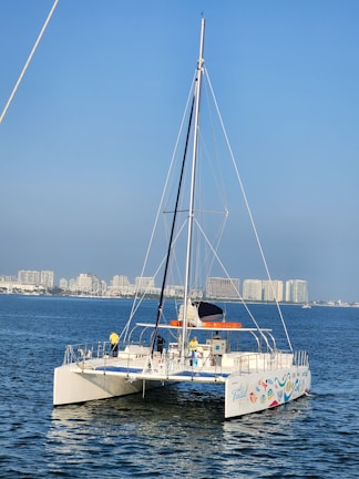 A catamaran with colorful designs on the hull sails on calm blue waters. Several people are on board, wearing casual clothing suitable for sailing. In the background, there is a cityscape with tall buildings under a clear blue sky.