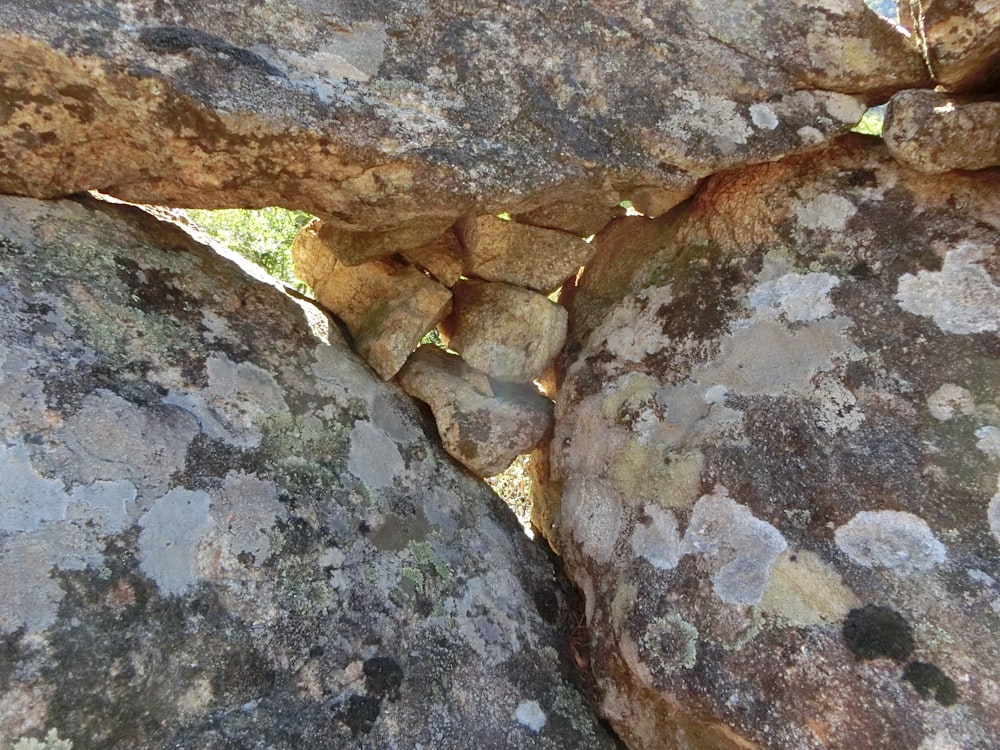 a close up of a rock formation with moss growing on it