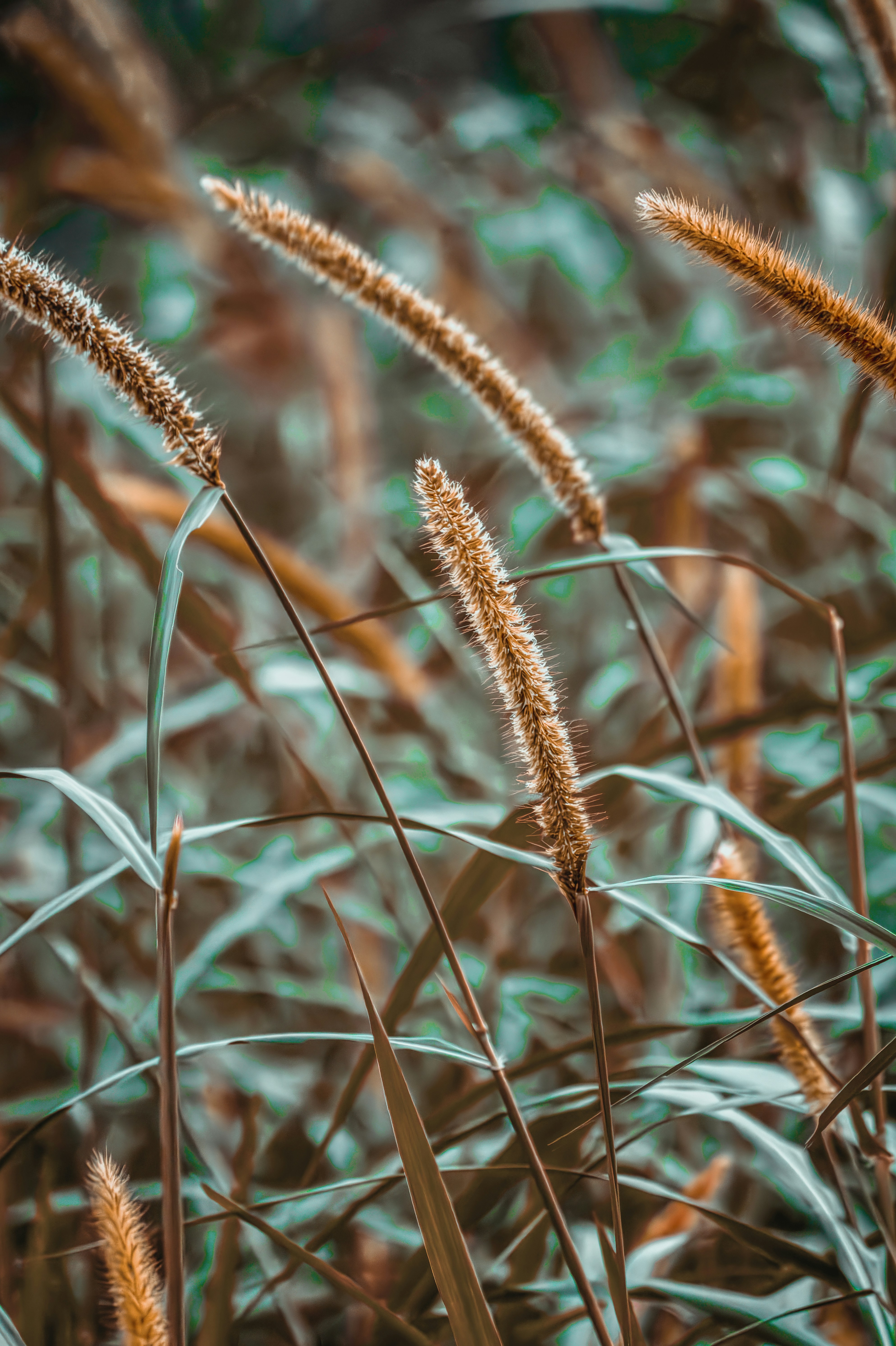 Photo by tanvirahmed2232