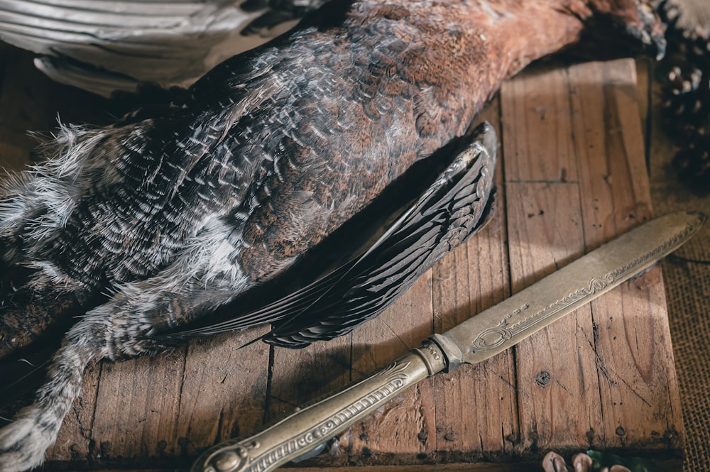 un pájaro muerto sobre una mesa de madera con un cuchillo