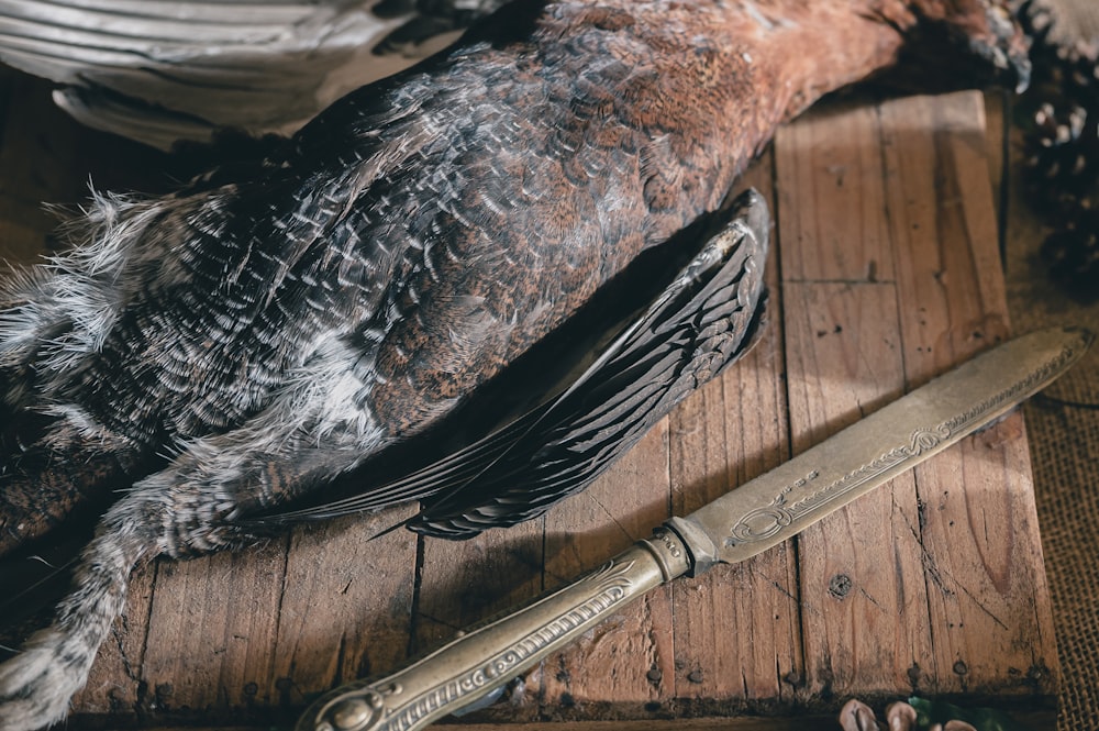 a dead bird on a wooden table with a knife