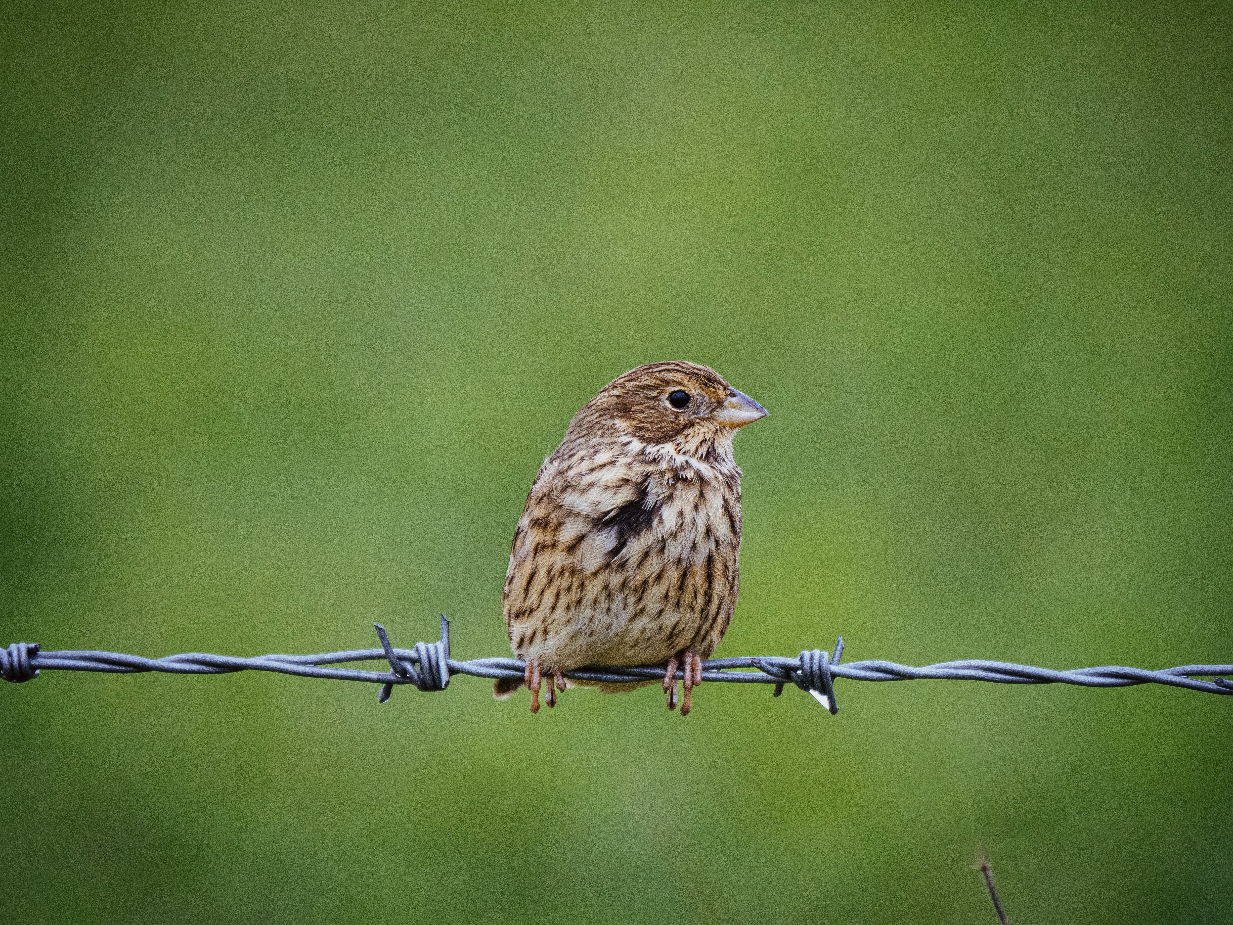 Legal Consequences You Didn't Know About (image credits: unsplash)