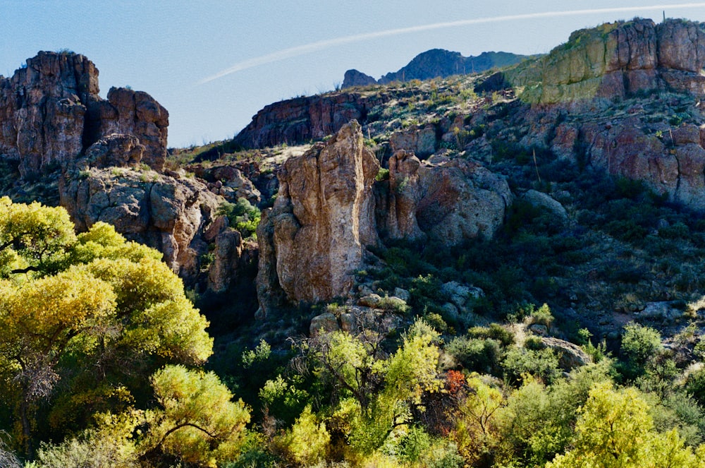 a view of a rocky mountain with trees in the foreground