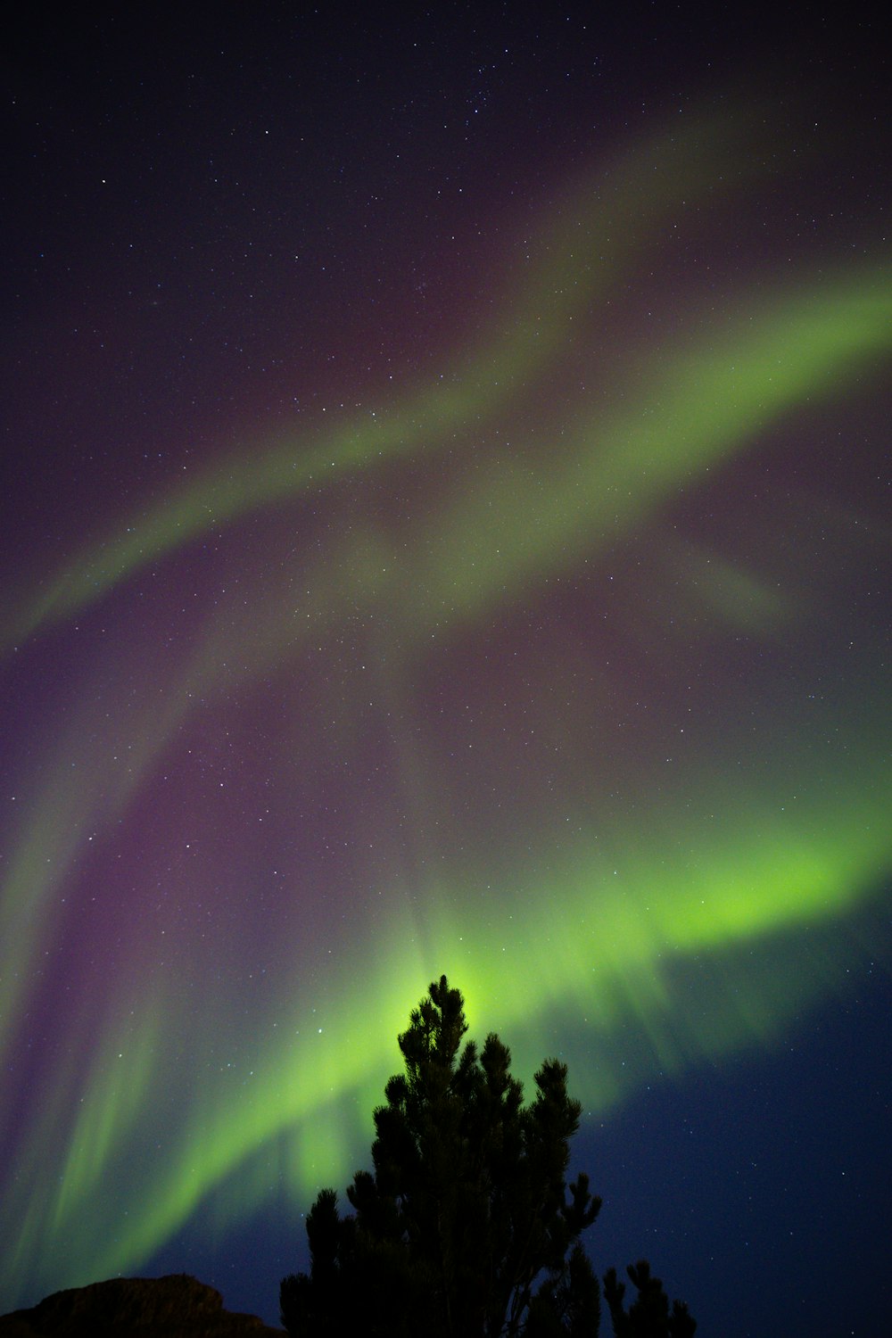 a green and purple aurora bore in the night sky