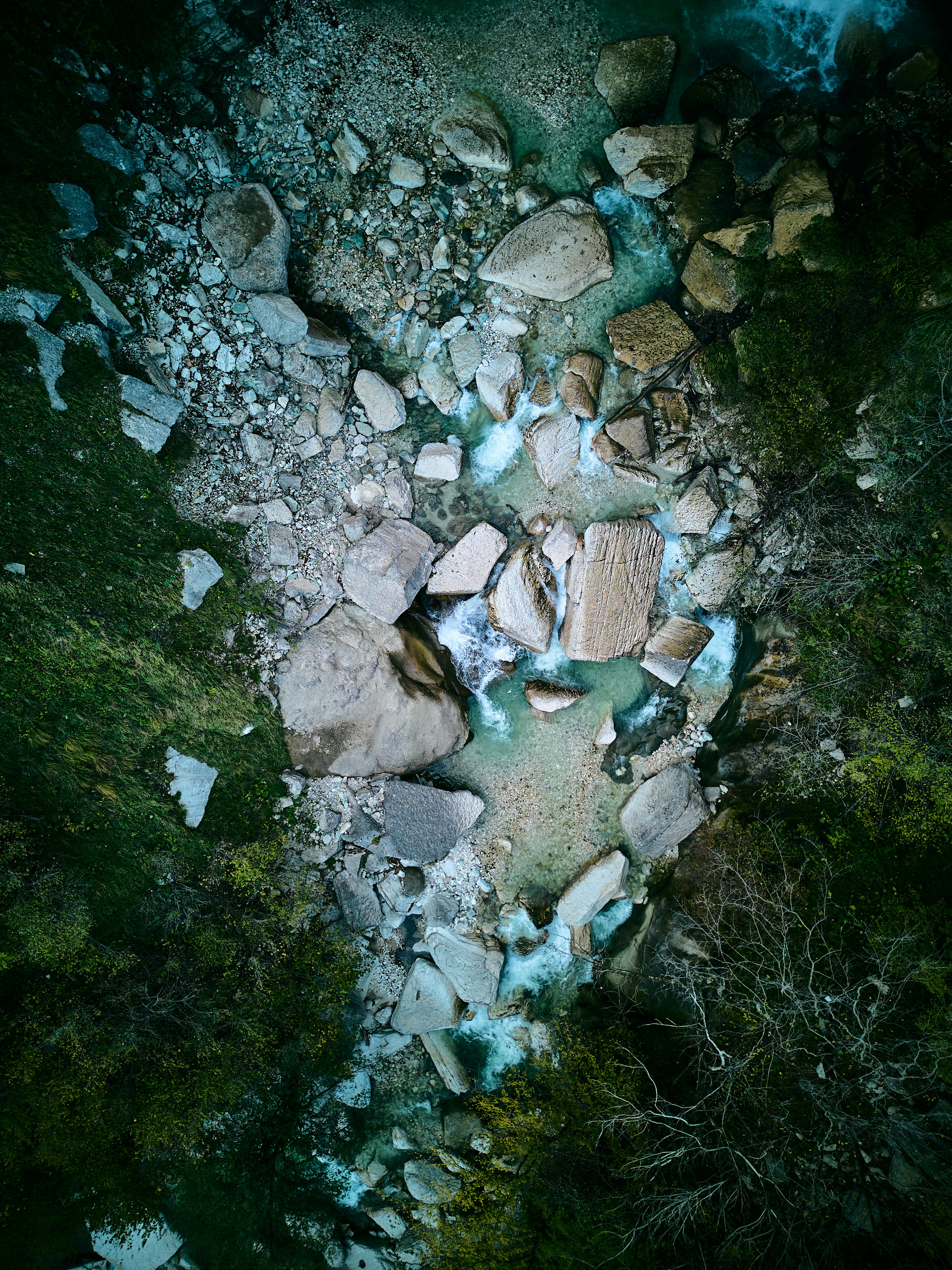 울창한 녹색 숲을 흐르는 강