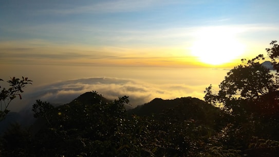 A breathtaking landscape capturing a vibrant sunrise over a mountainous region. The sky is painted with hues of blue, orange, and yellow as the sun rises. Thick mist or clouds rest below the peaks, while silhouettes of trees and foliage are visible in the foreground.